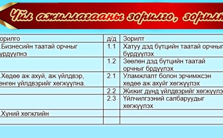 Үйл ажиллагааны зорилго, зорилт