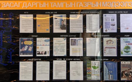 Чиг үүргийн мэдээ