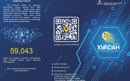 ТӨРИЙН ҮЙЛЧИЛГЭЭГ ЦАХИМААР ҮЗҮҮЛЭХ ТӨРӨЛ