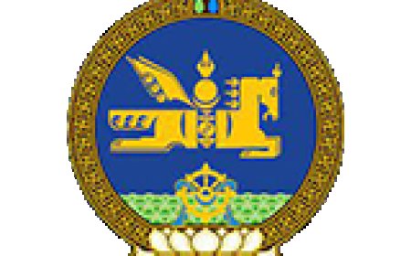 ТӨРИЙН АЛБАНЫ ШАЛГАЛТ ӨГӨХ БОЛЗОЛ БОЛОН ШАТЛАН ДЭВШҮҮЛЭХ, СОНГОН ШАЛГАРУУЛАХ ЖУРАМ